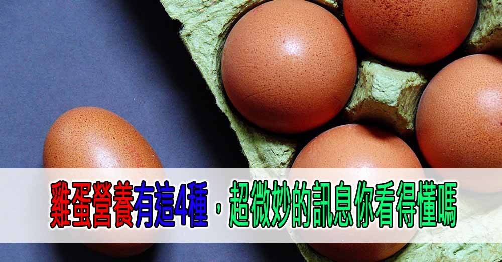 雞蛋營養有這4種，超微妙的訊息你看得懂嗎