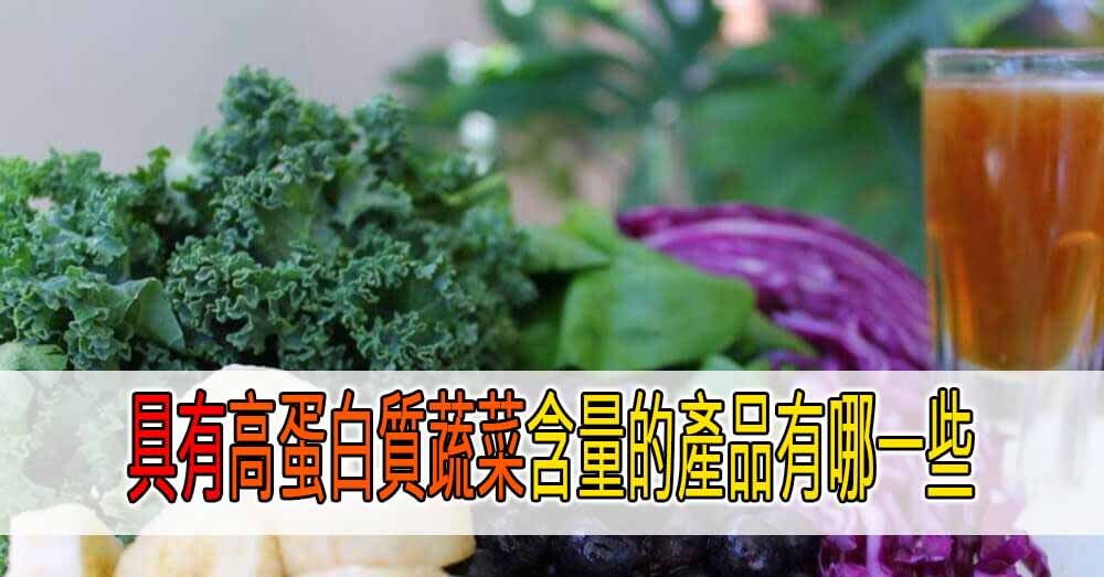具有高蛋白質蔬菜含量的產品有哪一些